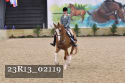 23R13_02119 thumbnail