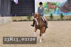 23R13_02120 thumbnail