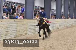 23R13_02122 thumbnail