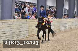 23R13_02123 thumbnail