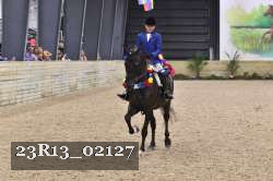 23R13_02127 thumbnail