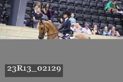 23R13_02129 thumbnail