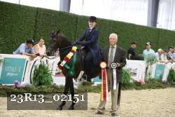 23R13_02151 thumbnail