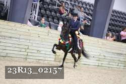 23R13_02157 thumbnail