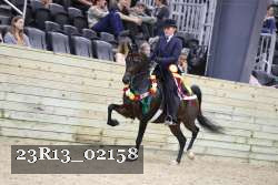 23R13_02158 thumbnail