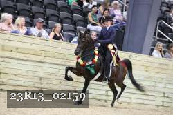 23R13_02159 thumbnail