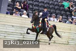 23R13_02160 thumbnail