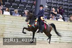 23R13_02161 thumbnail