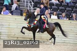 23R13_02162 thumbnail