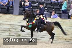 23R13_02163 thumbnail