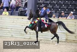 23R13_02164 thumbnail