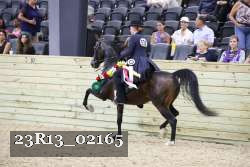 23R13_02165 thumbnail