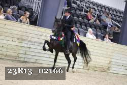 23R13_02166 thumbnail
