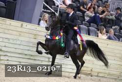 23R13_02167 thumbnail