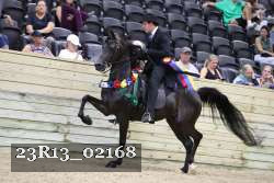 23R13_02168 thumbnail