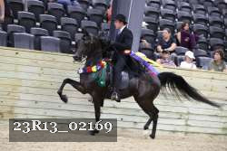 23R13_02169 thumbnail