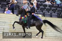 23R13_02170 thumbnail
