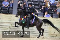 23R13_02171 thumbnail