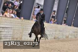 23R13_02172 thumbnail