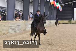 23R13_02173 thumbnail