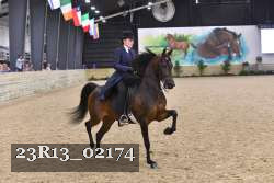 23R13_02174 thumbnail