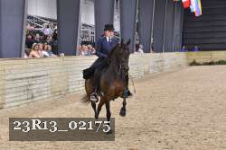23R13_02175 thumbnail
