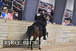 23R13_02176 thumbnail