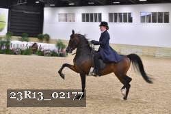 23R13_02177 thumbnail
