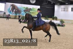 23R13_02178 thumbnail