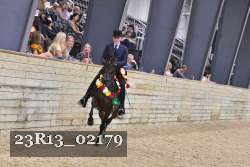 23R13_02179 thumbnail