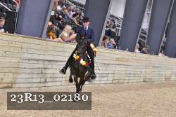23R13_02180 thumbnail