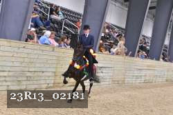23R13_02181 thumbnail
