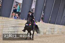 23R13_02184 thumbnail