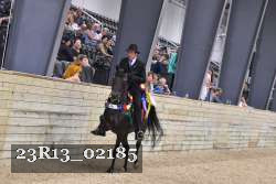 23R13_02185 thumbnail