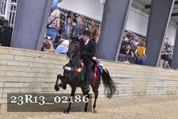 23R13_02186 thumbnail