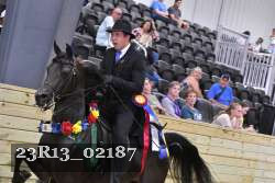 23R13_02187 thumbnail