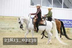 23R13_02239 thumbnail