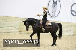 23R13_02240 thumbnail