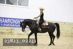 23R13_02241 thumbnail