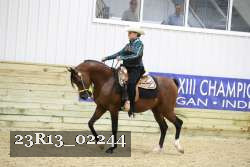 23R13_02244 thumbnail