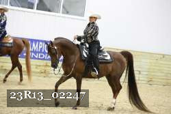 23R13_02247 thumbnail