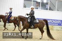23R13_02248 thumbnail
