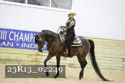 23R13_02249 thumbnail