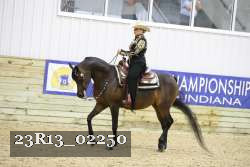23R13_02250 thumbnail