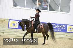 23R13_02253 thumbnail
