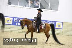 23R13_02254 thumbnail