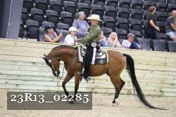 23R13_02285 thumbnail