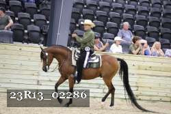 23R13_02286 thumbnail