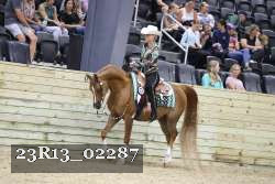 23R13_02287 thumbnail