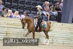 23R13_02288 thumbnail